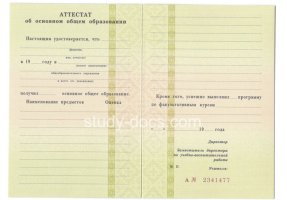 Аттестат за 9 класс 1995-2006 в Электростали