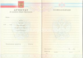 Аттестат за 9 класс 2007-2010 в Электростали